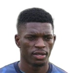 Fidel Brice Ambina