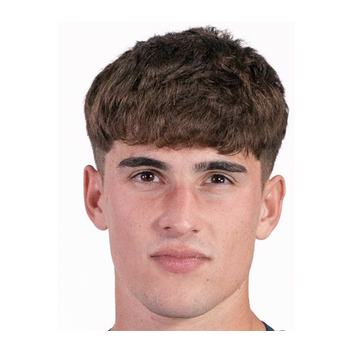 Gavián