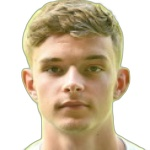 Brittijn