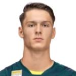 Hamzic